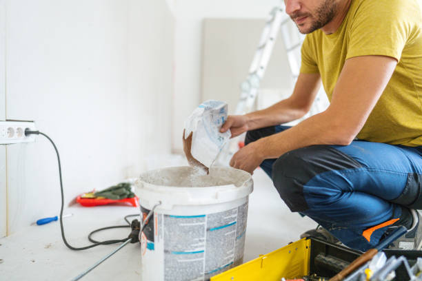 Best Mold Damage Restoration  in Manila, AR