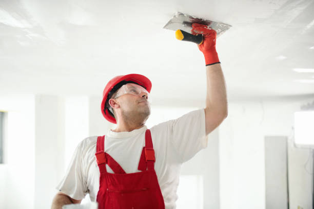 Best Residential Mold Inspection & Testing  in Manila, AR