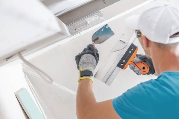 Best Air Quality Testing for Mold Spores  in Manila, AR